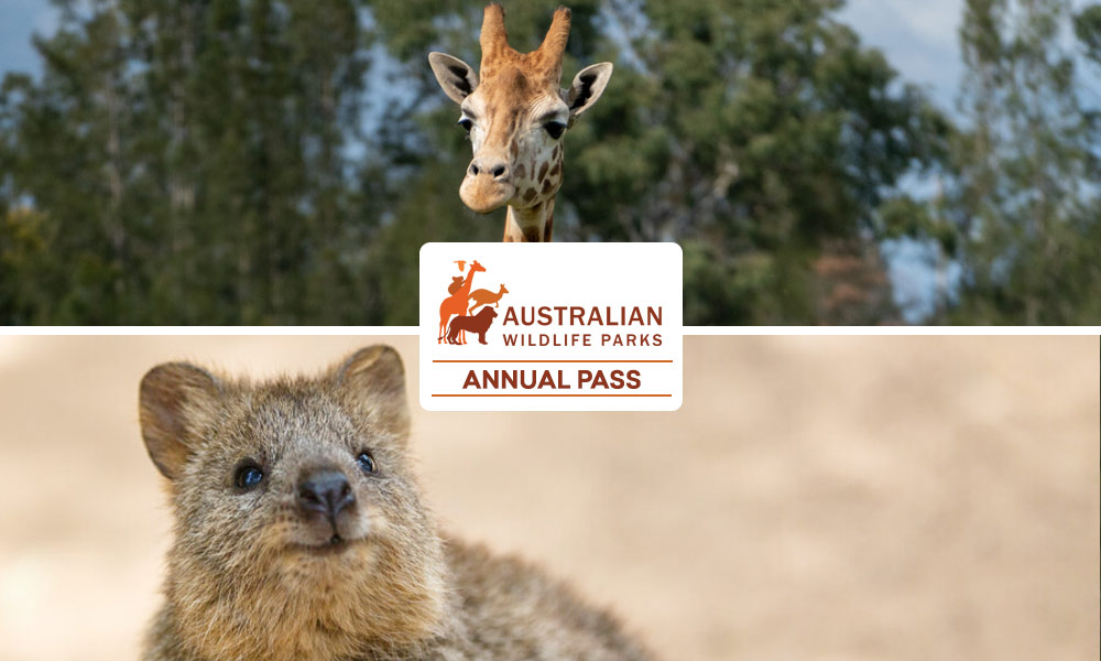 Annual Pass - Featherdale Sydney Wildlife Park + Mogo Wildlife Park