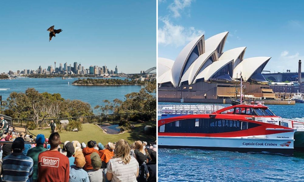 Taronga Zoo Entry and 1-Day Harbour Ferry Pass