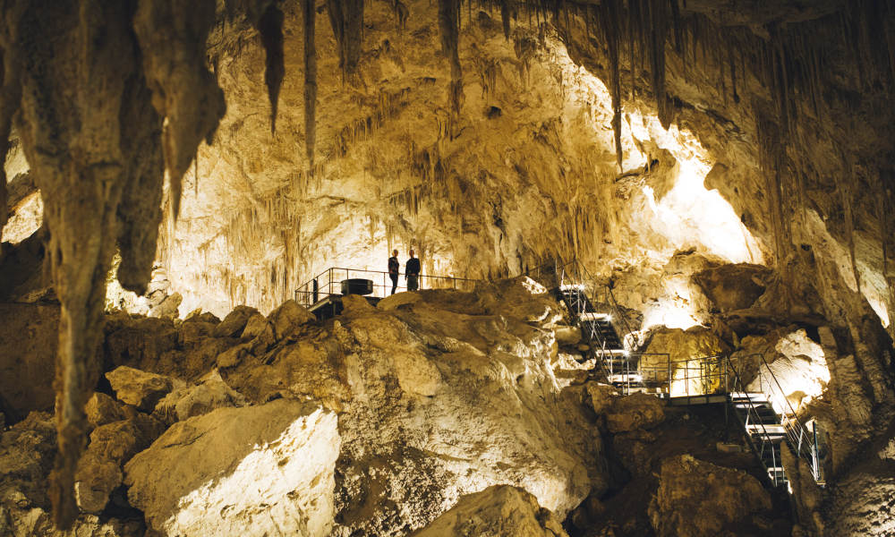 Margaret River Mammoth Caves Tour