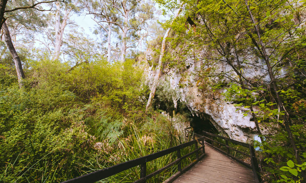 Margaret River Mammoth Caves Tour