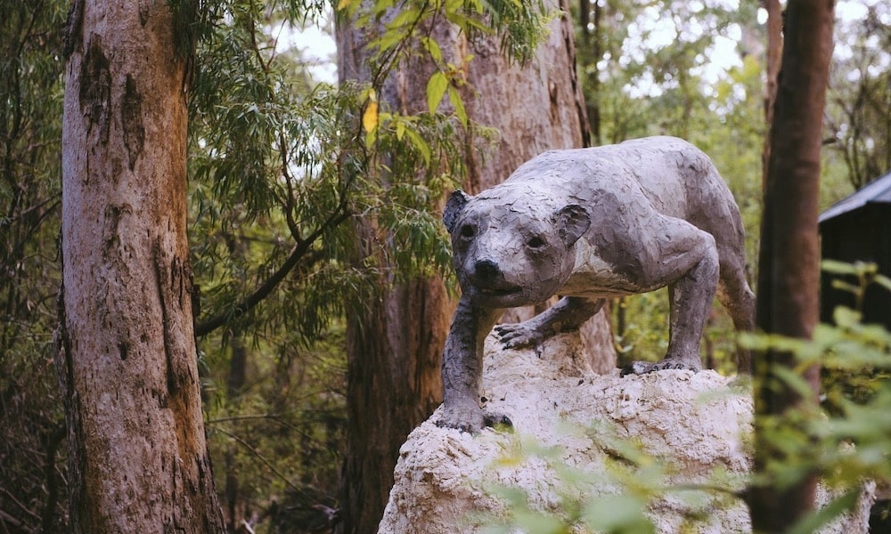 Margaret River Mammoth Caves Tour