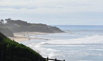 Great Ocean Road Private Scenic Tour Thumbnail 3