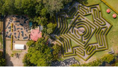 Bellingham Maze Tickets