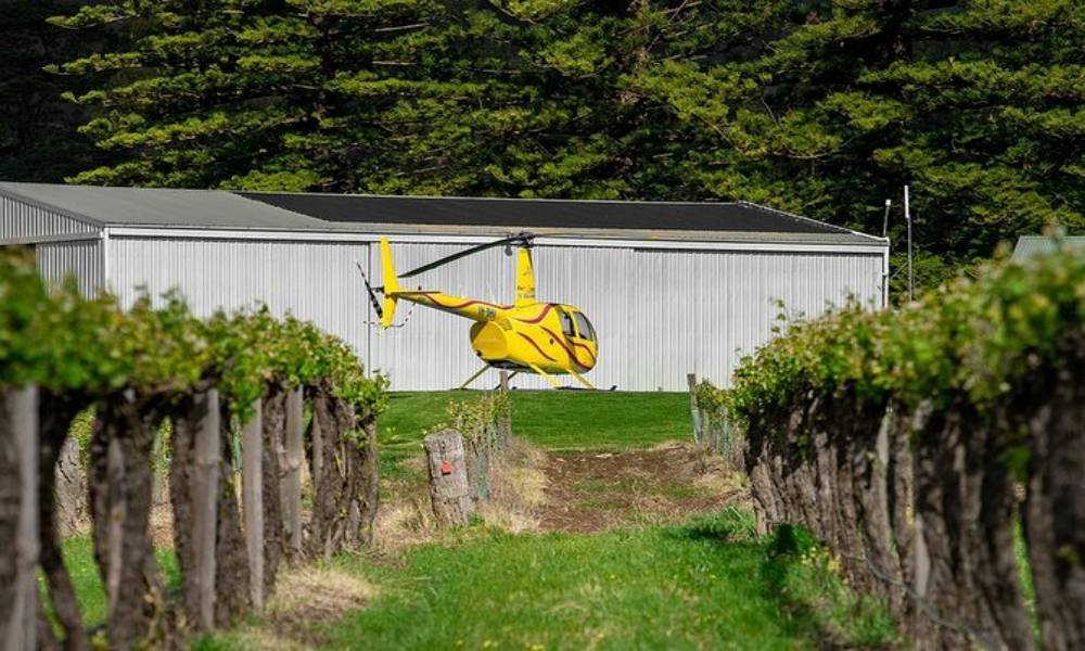 Barossa Valley Deluxe 30 Minute Private Flight