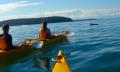 Batemans Bay Half Day Sea Kayak Tour Thumbnail 6