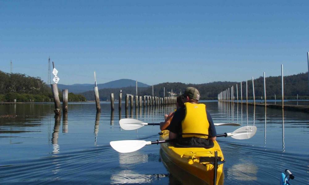 Batemans Bay Oyster Tasting Kayak Tour Book Now Experience Oz