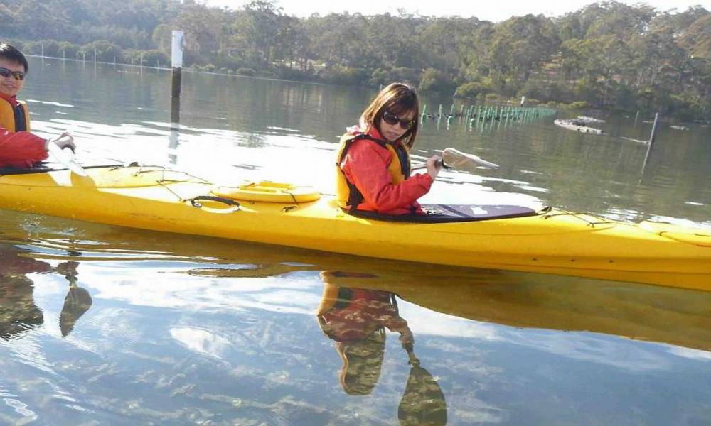 Batemans Bay Oyster Tasting Kayak Tour Book Now Experience Oz