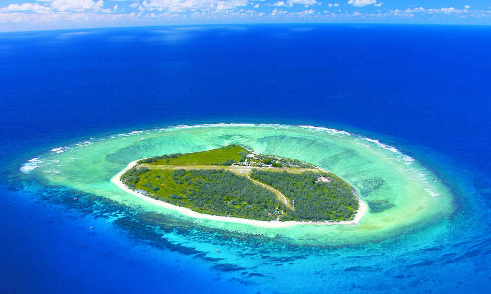 Lady Elliot Island Day Trip from Brisbane