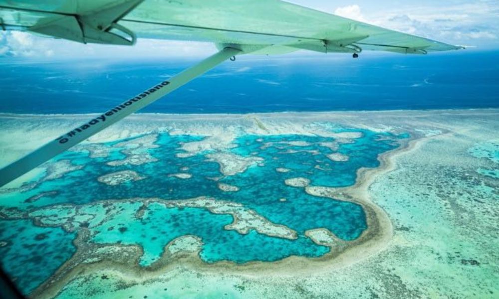 Lady Elliot Island Day Trip from Brisbane