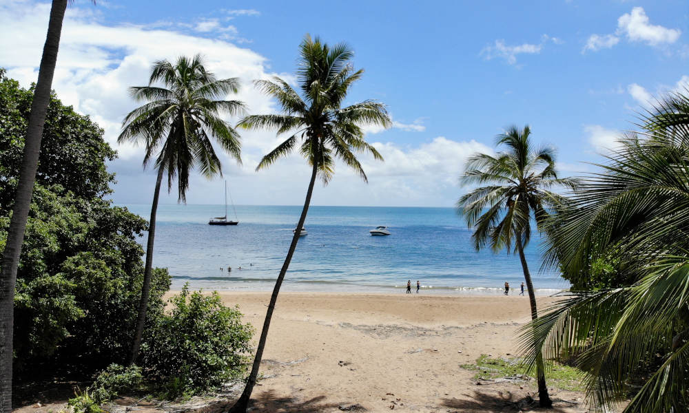 All Inclusive Lunchtime Sailing Cruise
