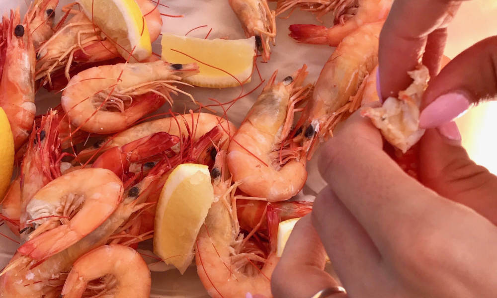 All Inclusive Lunchtime Sailing Cruise