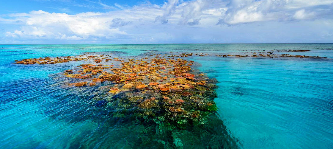 townsville great barrier reef tours