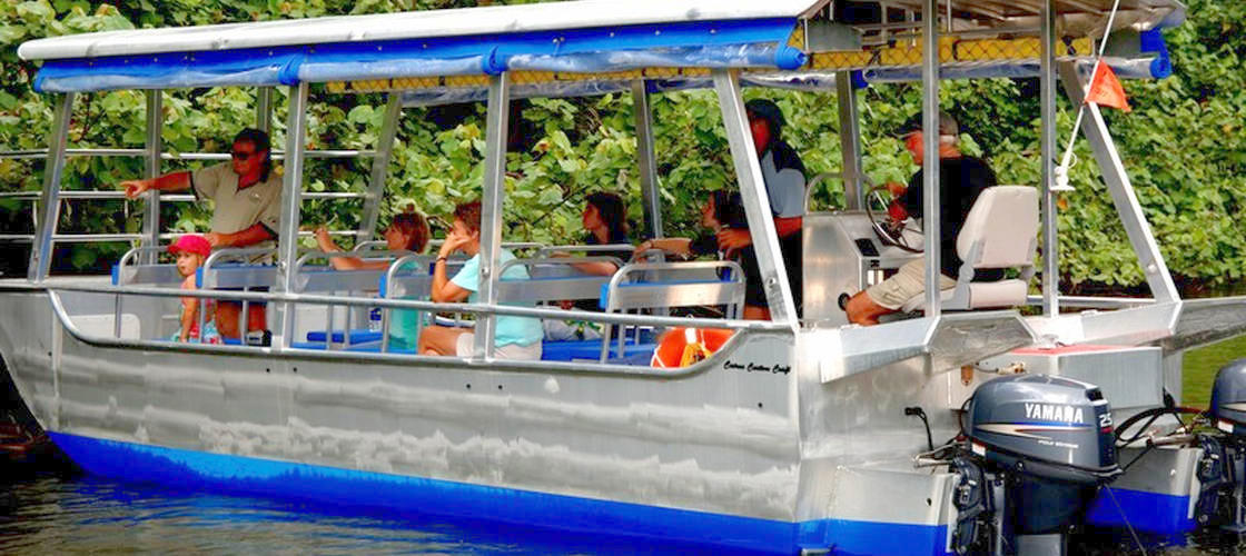 Daintree River Cruise
