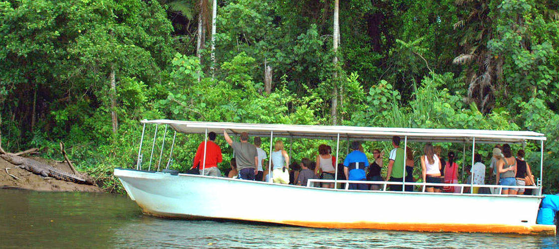 Daintree River Cruise