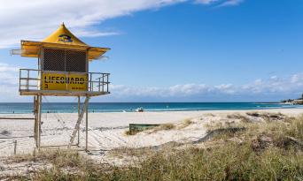 Dining Play Money Rewards Dgc Experience Oz