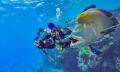 Great Barrier Reef Cruise to Reef Magic Pontoon Thumbnail 3