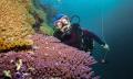 Great Barrier Reef Cruise to Reef Magic Pontoon Thumbnail 5