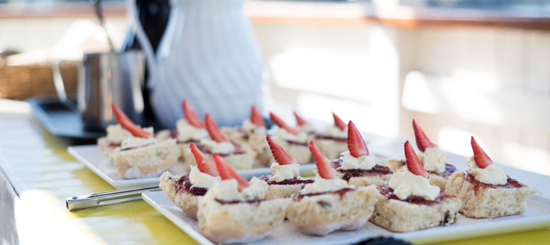 Brisbane River Morning Sightseeing Cruise