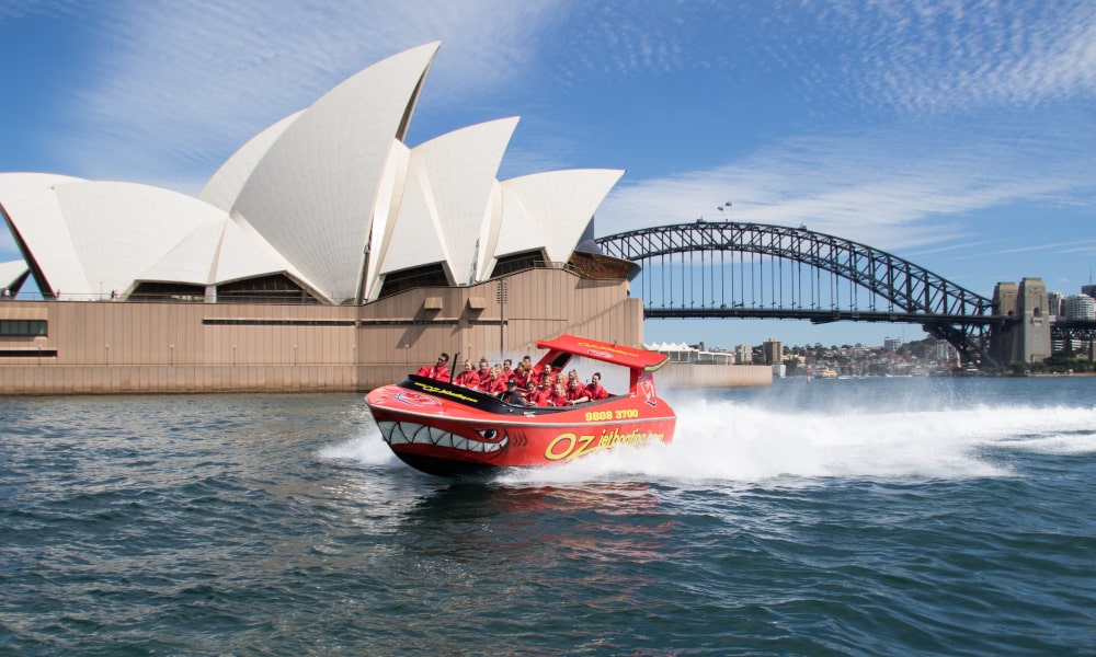 Sydney Harbour Jet Boat Ride Nature and Wildlife Adventure Animals Eastern Pontoon Circular Quay Sydney NSW 2177