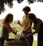 Hunter Valley Wine Tour