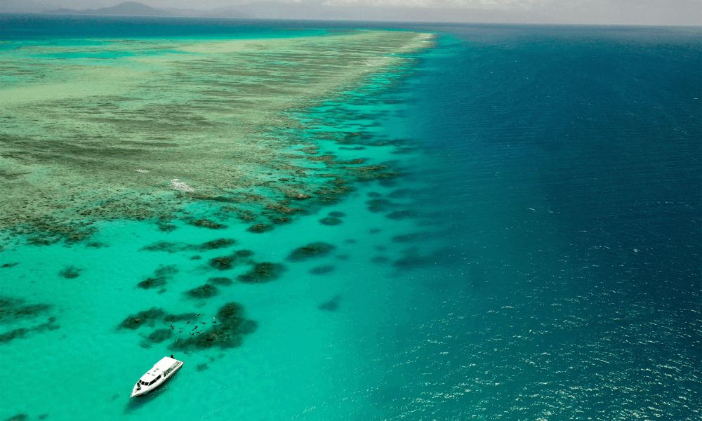 Outer Great Barrier Reef Guided Snorkelling