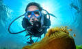 Great Barrier Reef Dive and Snorkel Cruise to 2 Reef Locations Thumbnail 1