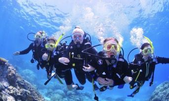 Great Barrier Reef Dive and Snorkel Cruise to 2 Reef Locations Thumbnail 4
