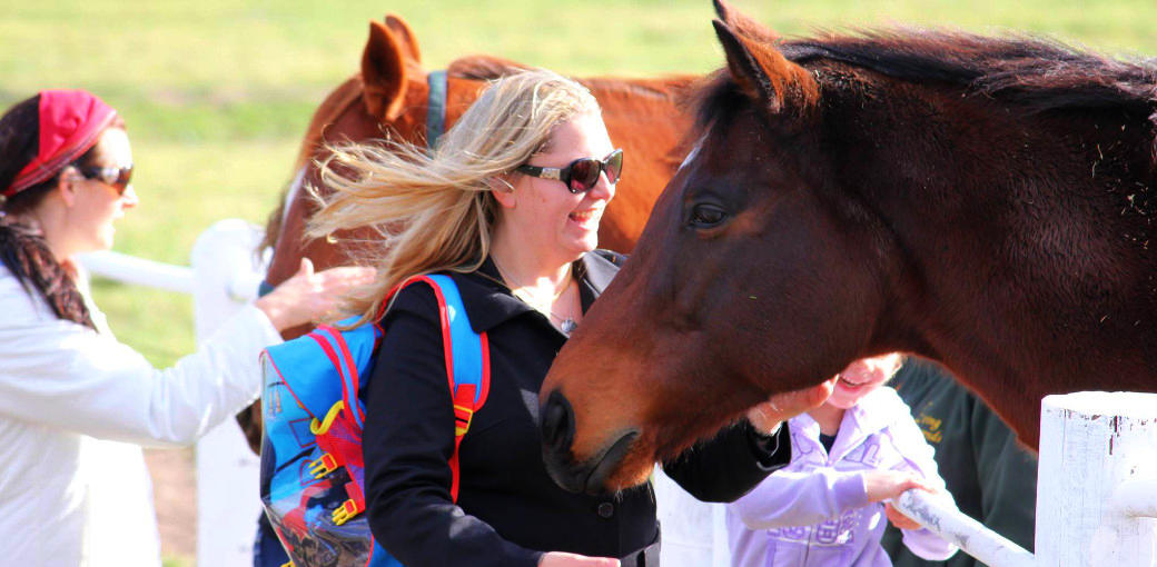 Australian Open Tour with Lunch (Morning)