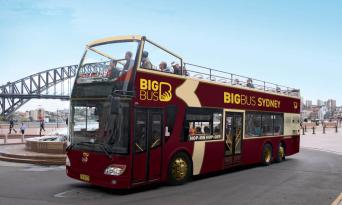 Big Bus Sydney City and Bondi Hop-On Hop-Off Tour - Classic Ticket Thumbnail 6