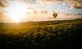 Sunrise Hot Air Ballooning In Byron Bay Thumbnail 4