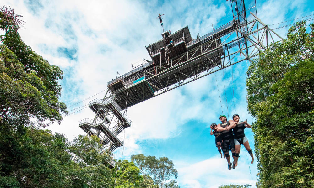 Walk the Plank and Giant Swing Combo Entertainment Nature and Wildlife Sport and Fitness Adventure AJ Hackett McGregor Rd Smithfield QLD 4878