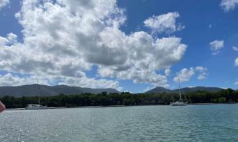 Sightseeing Safari Cruise From Cairns Thumbnail 2