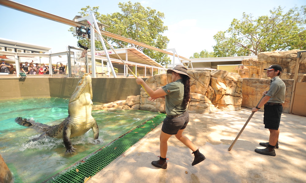 Darwin Croc And History Explorer Package Entertainment Nature and Wildlife Science Adventure Animals 45 Stokes Hill Rd Darwin City NT 0800