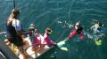 Marine Discovery Cruise with Snorkelling Thumbnail 4
