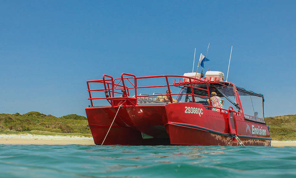 Port Stephens Island Snorkel Adventure - 3 Hour