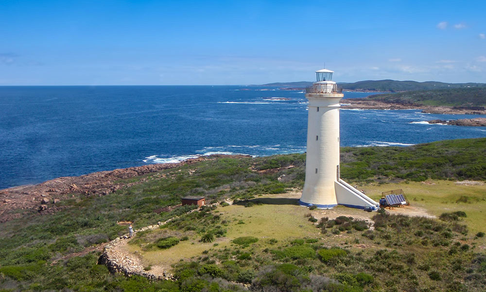 3.5-Hour Fingal Island and Lighthouse Eco Tour