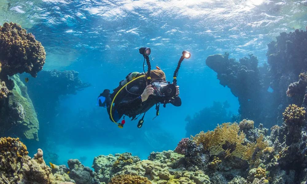 Whitsundays Discover Scuba