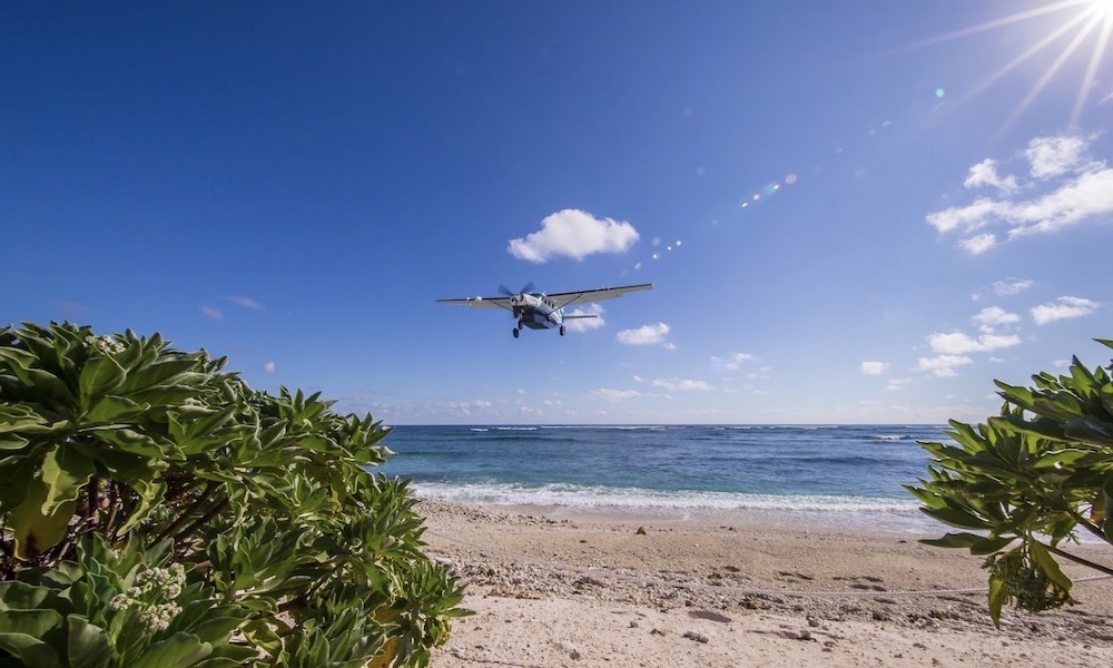 Lady Elliot Island Day Trip from Bundaberg including Flights