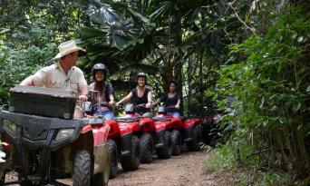 Kuranda Rainforest 2 Hour Quad Bike Tour Thumbnail 4