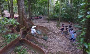 Kuranda Rainforest 2 Hour Quad Bike Tour Thumbnail 3