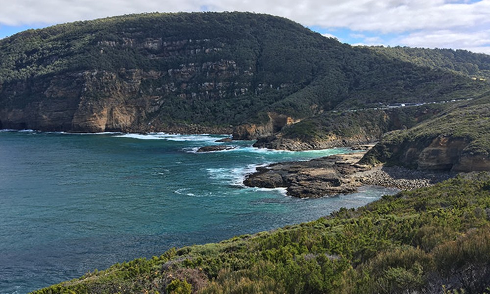 Tasman Peninsula Tour - Full Day