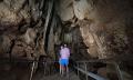 Cutta Cutta Caves Guided Walking Tour - 1 Hour Thumbnail 2