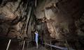 Cutta Cutta Caves Guided Walking Tour - 1 Hour Thumbnail 6