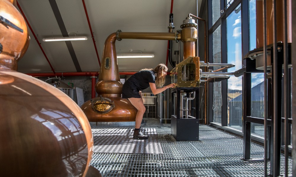 Queenstown Gin Tasting Tour Book Now Experience Oz