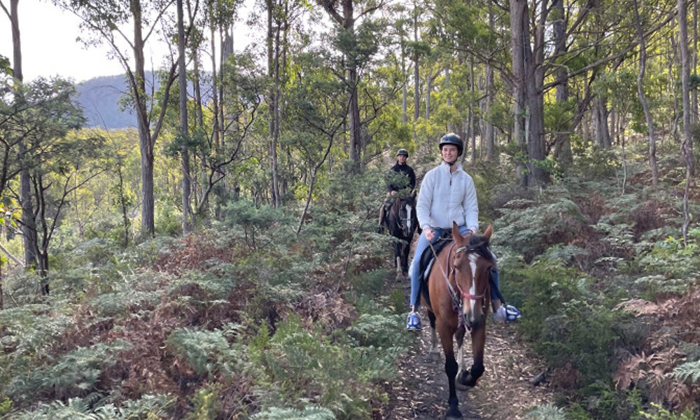 Bush Rangers Track Horse Ride - 2 Hours