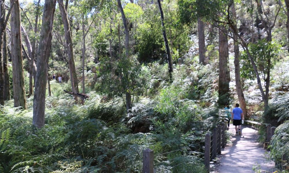 Mount Lofty Bushwalking and Waterfall Hike