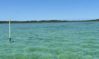 Moreton Island Champagne and Oyster Tour Thumbnail 6