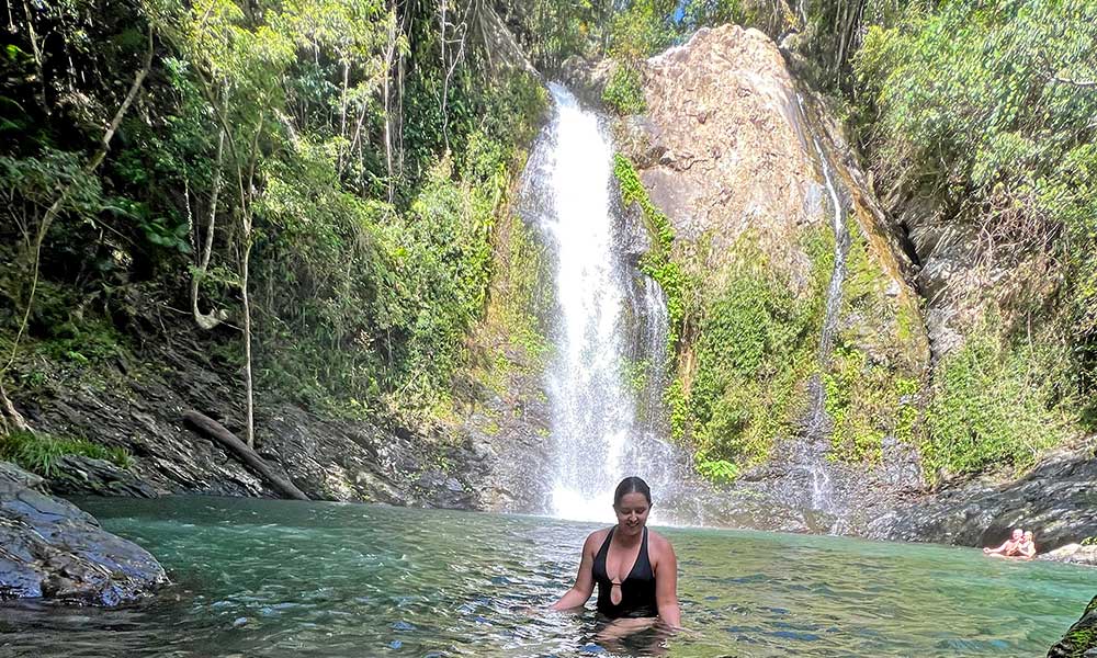 Daintree Rainforest & Cassowary Falls Tour - 90 Minutes