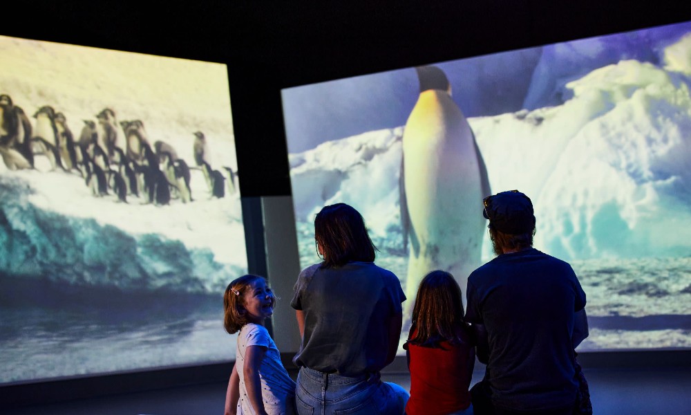 Entry to the Antarctic Journey at the Nobbies - Entry to the Antarctic Journey at the Nobbies