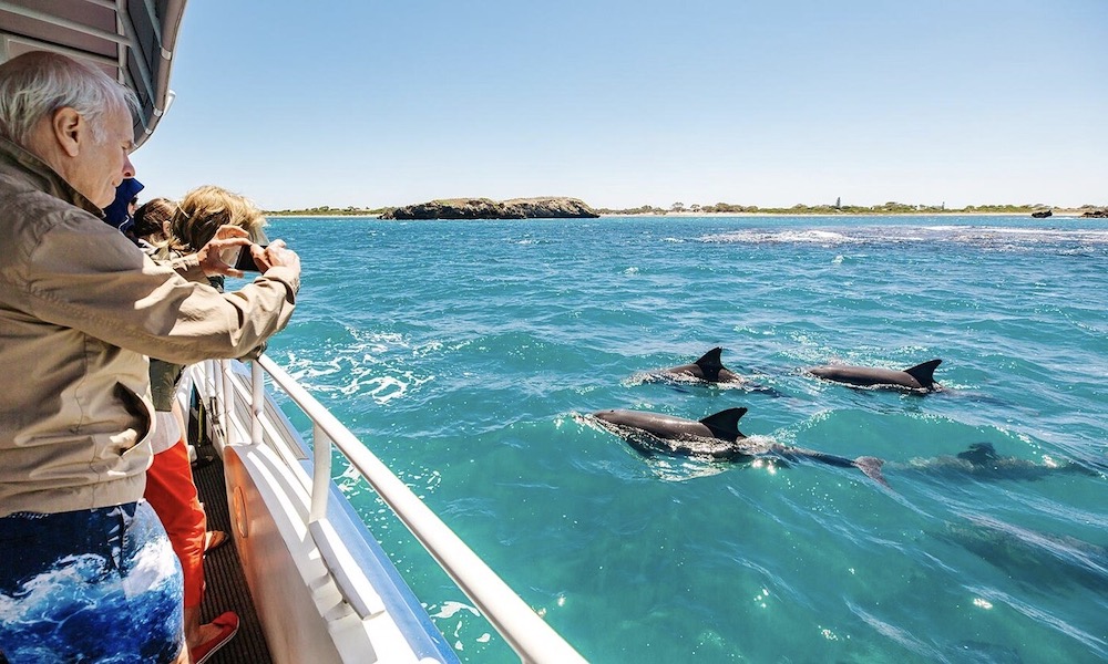 Shoalwater Islands Snorkelling Cruise with Lunch - Spectator